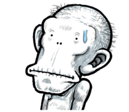 Kimo Premium sticker #6442169