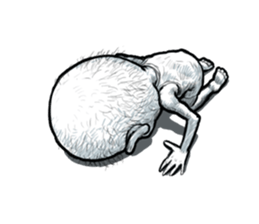 Kimo Premium sticker #6442173