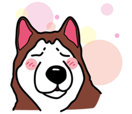 Husky theater sticker #6442443