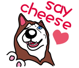 Husky theater sticker #6442463