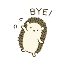 Nami Nishikawa Nami Nishikawa