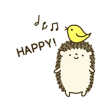 Nami Nishikawa Nami Nishikawa