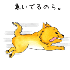 I'm COJIRO of the Japanese midget Shiba. sticker #6447976