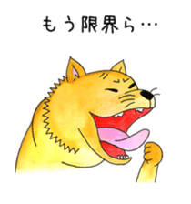 I'm COJIRO of the Japanese midget Shiba. sticker #6447981