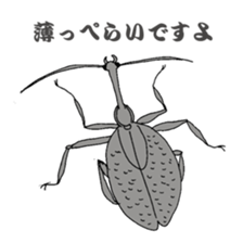 Japanese bug club sticker #6452558