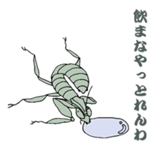 Japanese bug club sticker #6452560