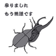 Japanese bug club sticker #6452562