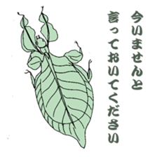 Japanese bug club sticker #6452563