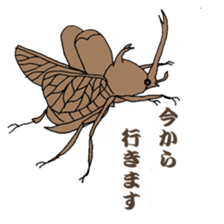 Japanese bug club sticker #6452570