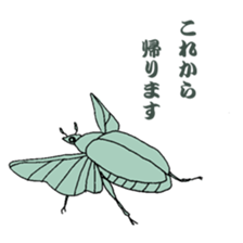 Japanese bug club sticker #6452572