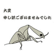 Japanese bug club sticker #6452575