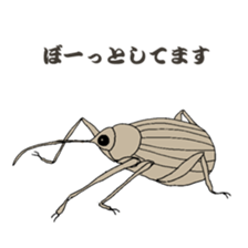 Japanese bug club sticker #6452576