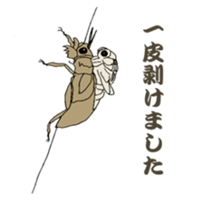 Japanese bug club sticker #6452585