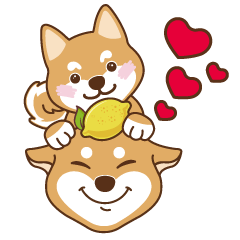HappinessShiba - Gifaye and Limon