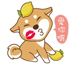 HappinessShiba - Gifaye and Limon sticker #6452956