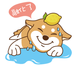 HappinessShiba - Gifaye and Limon sticker #6452985
