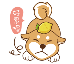 HappinessShiba - Gifaye and Limon sticker #6452990