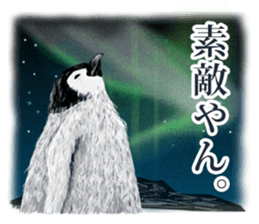 co penguin sticker #6453195