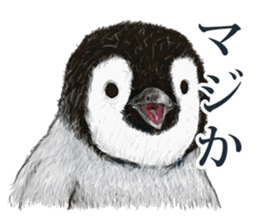 co penguin sticker #6453198