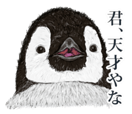 co penguin sticker #6453199