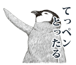 co penguin sticker #6453207