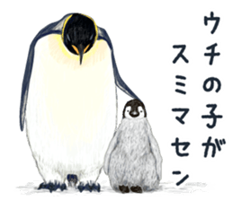 co penguin sticker #6453209