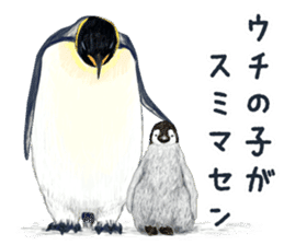 co penguin sticker #6453209