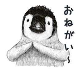 co penguin sticker #6453217