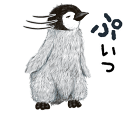 co penguin sticker #6453223