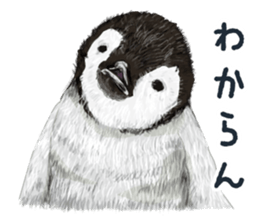 co penguin sticker #6453224