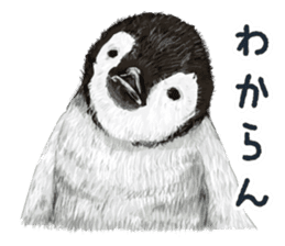 co penguin sticker #6453224
