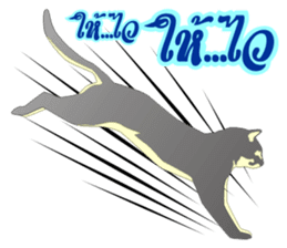 Noo Waen and Miao Miao sticker #6455497