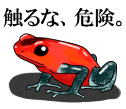 Arrow poison poison frog sticker #6457472