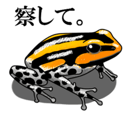 Arrow poison poison frog sticker #6457474