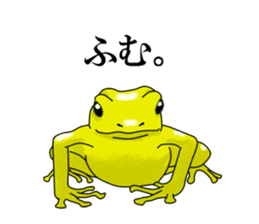 Arrow poison poison frog sticker #6457476