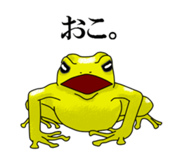 Arrow poison poison frog sticker #6457478