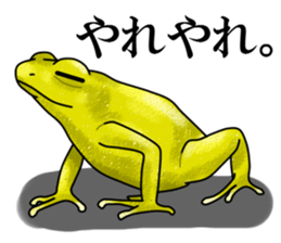 Arrow poison poison frog sticker #6457482