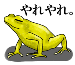 Arrow poison poison frog sticker #6457482