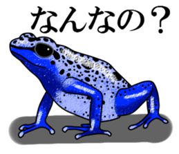 Arrow poison poison frog sticker #6457484