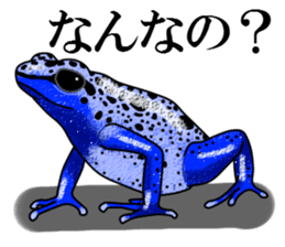 Arrow poison poison frog sticker #6457484