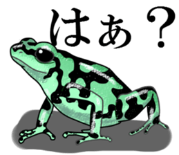 Arrow poison poison frog sticker #6457486