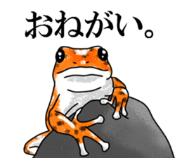 Arrow poison poison frog sticker #6457495