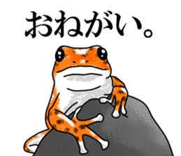 Arrow poison poison frog sticker #6457495