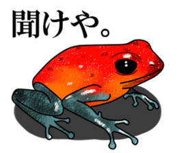 Arrow poison poison frog sticker #6457498