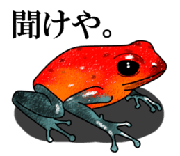 Arrow poison poison frog sticker #6457498