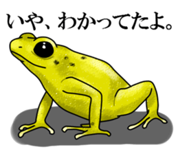 Arrow poison poison frog sticker #6457502