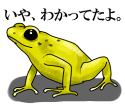 Arrow poison poison frog sticker #6457502