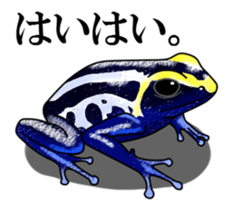 Arrow poison poison frog sticker #6457503