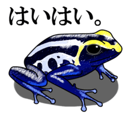 Arrow poison poison frog sticker #6457503
