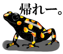 Arrow poison poison frog sticker #6457509